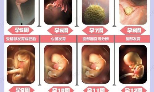 怀孕5个月摔了一下屁股骨头疼-怀孕5个月摔了一下屁股-专业怀孕5个月摔了一下屁股有事吗平台-怀孕5个月摔了一下屁股骨头疼